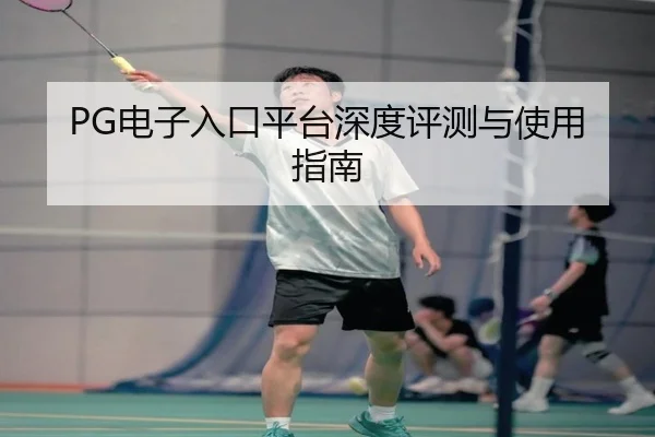 PG电子入口平台深度评测与使用指南