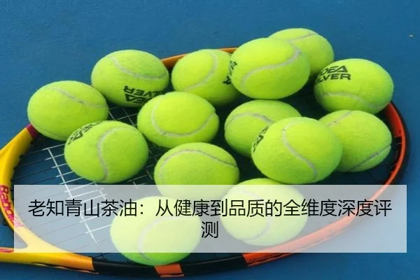 老知青山茶油：从健康到品质的全维度深度评测